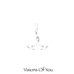 Visions of You - Single by G. Milez album reviews, ratings, credits