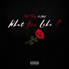 What You Like - Single by Fat Trey album reviews, ratings, credits