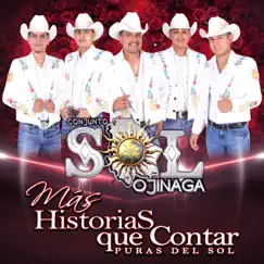 Más Historias Que Contar Puras del Sol by Conjunto Sol De Ojinaga album reviews, ratings, credits