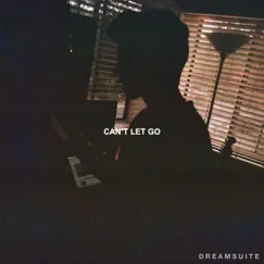 Can't Let Go Song Lyrics