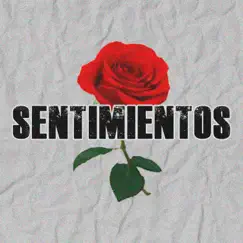Sentimientos - Single by Rugdo album reviews, ratings, credits