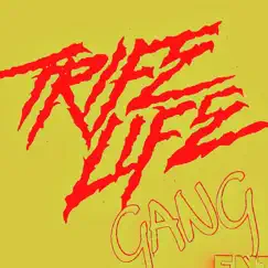 Trifemob Bars (feat. Hitter & Duez) - Single by TLG PLUTO album reviews, ratings, credits