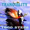 Tranquility - Single album lyrics, reviews, download