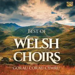 Best of Welsh Choirs by Various Artists album reviews, ratings, credits