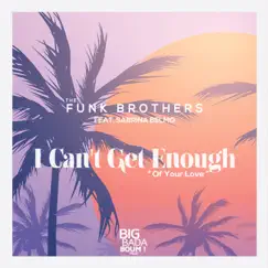 I Can't Get Enough of Your Love - Single by The Funk Brothers album reviews, ratings, credits