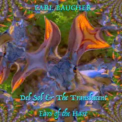 Del Sol & the Translucent Ears of the Hare by Carl Baugher album reviews, ratings, credits