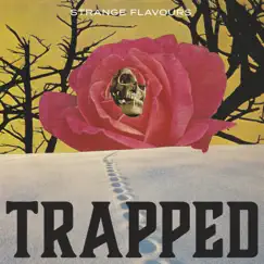 Trapped - Single by Strange Flavours album reviews, ratings, credits
