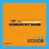 Scream My Name - Single album lyrics, reviews, download