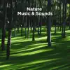 Nature Music & Sounds album lyrics, reviews, download