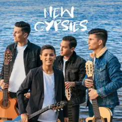 Sans amour on n'est rien - Single by New Gypsies album reviews, ratings, credits