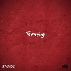 Teaming (feat. Butha Am, Eel & Kodz) Song Lyrics