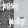 Just Say Goodbye - Single album lyrics, reviews, download