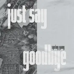 Just Say Goodbye - Single by Spring gang album reviews, ratings, credits