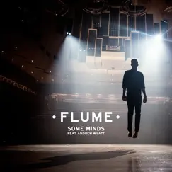 Some Minds (feat. Andrew Wyatt) - Single by Flume album reviews, ratings, credits