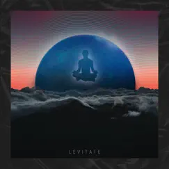 Levitate - Single by King Buckley album reviews, ratings, credits
