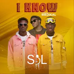 I Know (feat. Medikal) - Single by SBL album reviews, ratings, credits