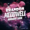 Ambient Soul - EP album lyrics, reviews, download