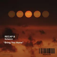 Bring You Home (feat. Nolwenn) Song Lyrics