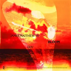 Bloom - EP by Young Guv & James Matthew VII album reviews, ratings, credits