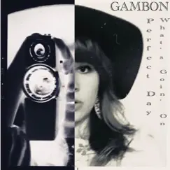 Perfect Day - Single by Gambon album reviews, ratings, credits