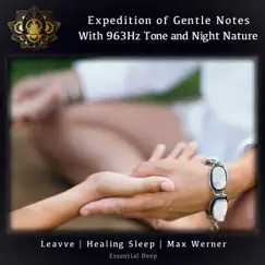 Expedition of Gentle Notes With 963Hz Tone and Night Nature by Leavve, Healing Sleep & Max Werner album reviews, ratings, credits