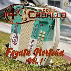 Fogata Norteña, Vol. 1 by 4 De a Caballo album reviews, ratings, credits