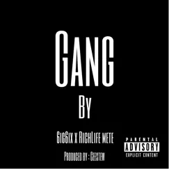 Gang (feat. Richlife Mete) Song Lyrics
