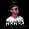 Amana (feat. Geeboy, Marshall & Mr Kebzee) - Single album lyrics, reviews, download