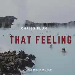 That Feeling - Single by Chriss Plum album reviews, ratings, credits