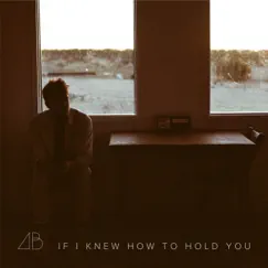 If I Knew How to Hold You - Single by Andrew Belle album reviews, ratings, credits