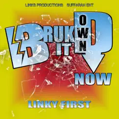 Bruk It Down Now - Single by Linky First album reviews, ratings, credits