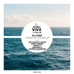 Voices of the Sea by DJ Lugo album reviews, ratings, credits
