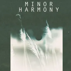 Netherlands Horizon - EP by Minor Harmony & Fifth Elegy album reviews, ratings, credits