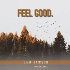 Feel Good. - EP by Cam Jawson album reviews, ratings, credits
