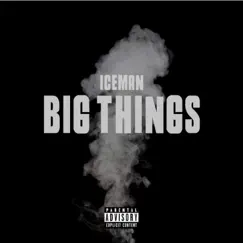 Big Things - Single by Ice Man album reviews, ratings, credits