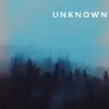 Unknown (Instrumental) [feat. Cyborg Cyclone] - Single album lyrics, reviews, download