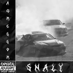 Agressor - Single by Snaly album reviews, ratings, credits