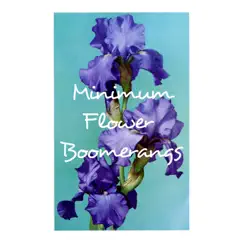 Minimum Flower Boomerangs - Single by Bryce Cruse album reviews, ratings, credits