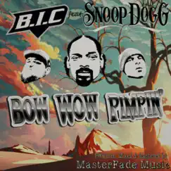 Bow Wow Pimpin (feat. Snoop Dogg) Song Lyrics