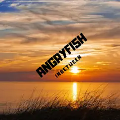 Inbetween - Single by Angry Fi5h album reviews, ratings, credits