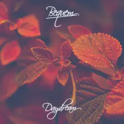 Daydream - Single by Bequem album reviews, ratings, credits
