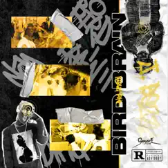 BIRD BRAIN (feat. NOALIASAQUARIUS) - Single by J. BEZZY album reviews, ratings, credits