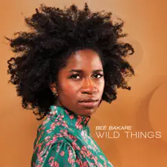 Wild Things by Bee bakare album reviews, ratings, credits