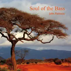 Soul of the Bass by John Patitucci album reviews, ratings, credits