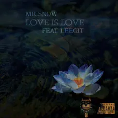 Love Is Love (feat. Leegit) - Single by Mr. $now album reviews, ratings, credits