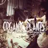 Organic Plants (feat. XL, Kryple, Bertrand the Visionary, NineLivez, Je$$y B & Trippz) - Single album lyrics, reviews, download