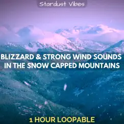 Blizzard & Strong Wind Sounds in the Snow Capped Mountains: One Hour (Loopable) by Stardust Vibes album reviews, ratings, credits