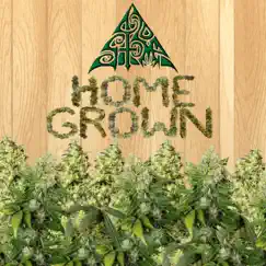 Home Grown - EP by 420 Stomp album reviews, ratings, credits