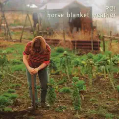 Horse Blanket Weather by Po! album reviews, ratings, credits