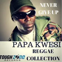 Never Give Up - Single by Papa Kwesi album reviews, ratings, credits